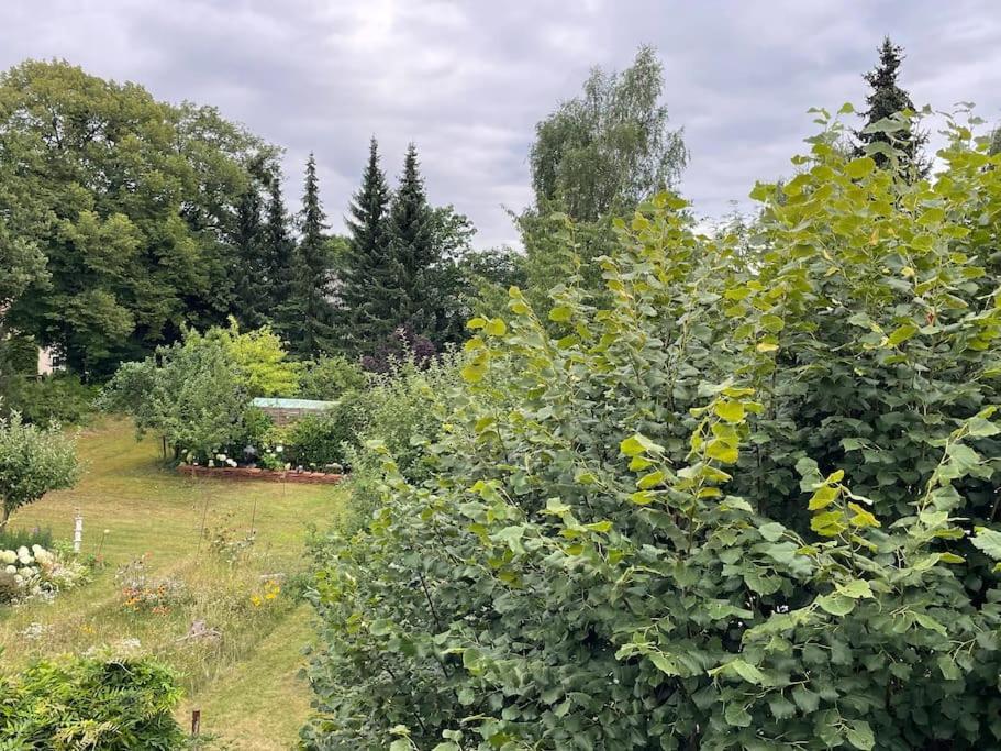 Grosse Wohnung Mit Loggia Templin Εξωτερικό φωτογραφία